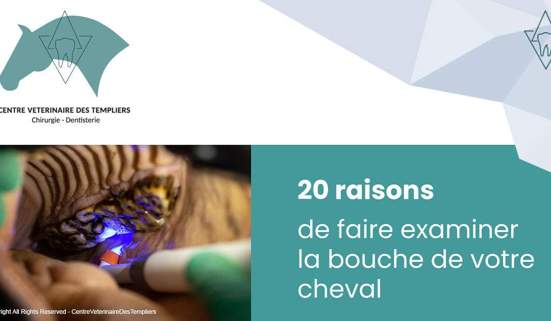 20 Raisons de faire examiner la bouche de votre cheval